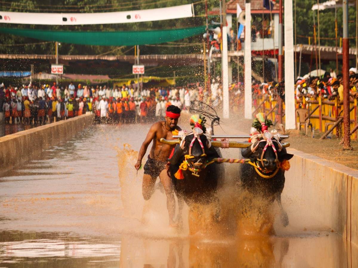 The famous five cultural festivals of Karnataka Times of India Travel