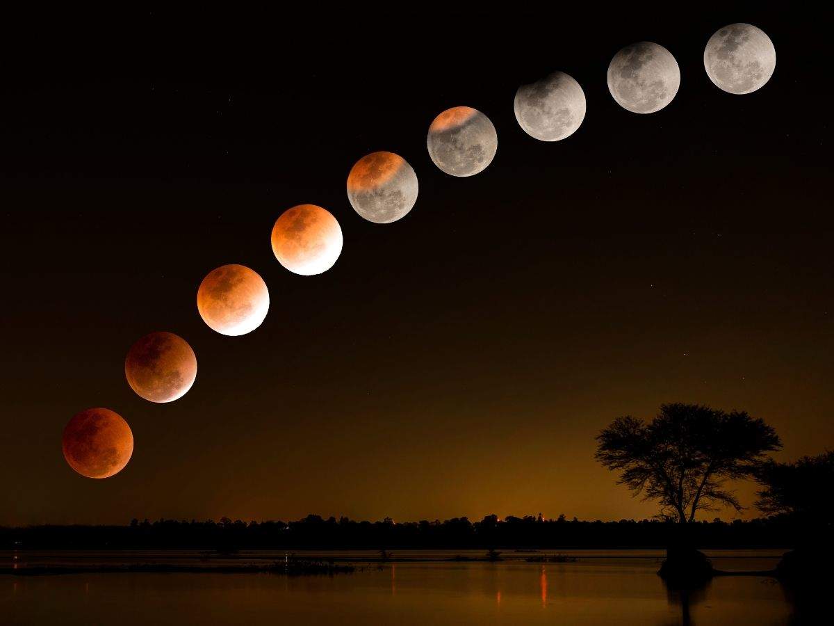 Lunar Eclipse 2021: Diet beliefs and myths associated with the celestial event - Times of India