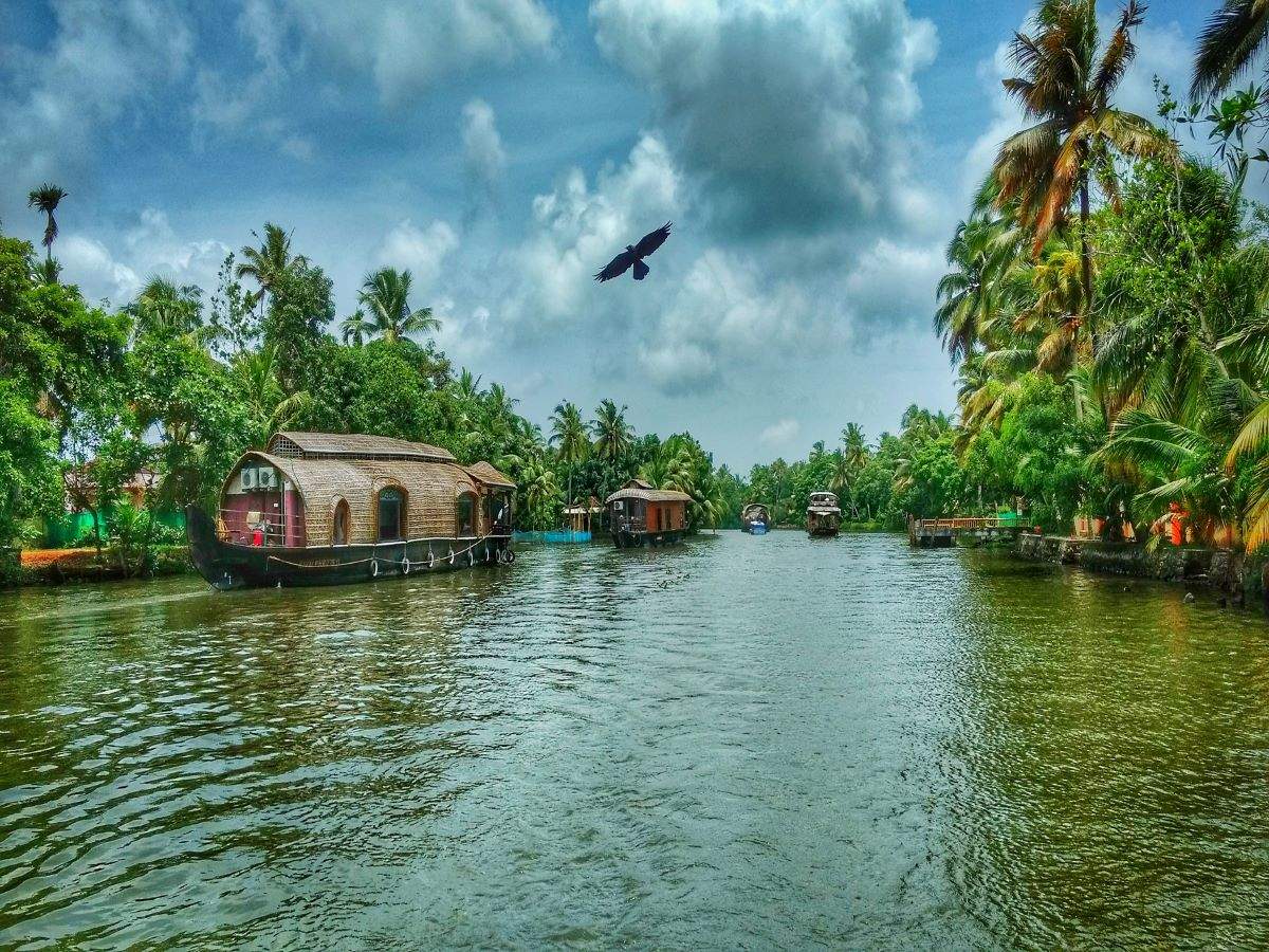 Kerala Backwaters: Offbeat Kerala backwaters for a peaceful vacation |  Times of India Travel