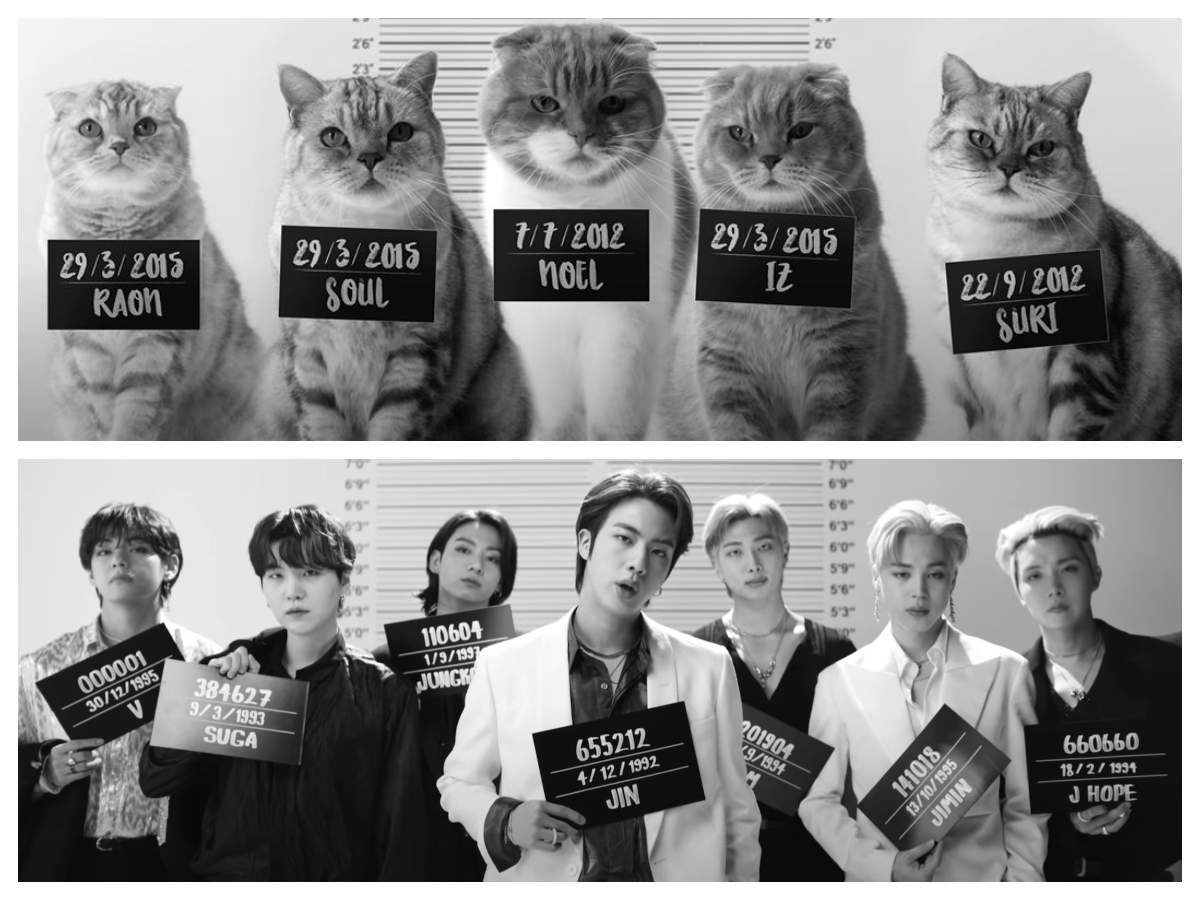 Bts Butter Music Video Cover By Cats Is The Newest Viral Clip On The Internet And It Is Purrfect