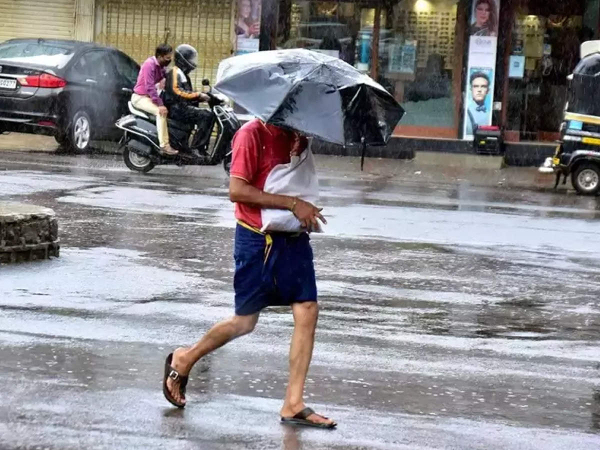 Entire Karnataka state is very likely to experience widespread rainfall from June 13 to 17 (file photo)