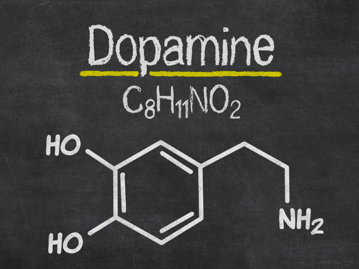 Dopamine: What is it and how does it impact our body?