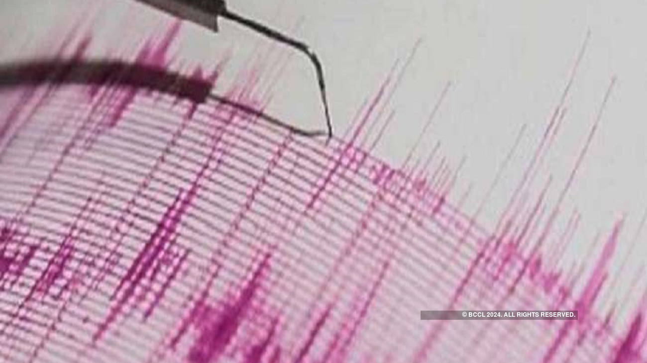 The earthquake, which occurred at 3.45pm, had its epicentre near Bandhal, 11km north-northwest of Bhachau, and its depth was 26.7km. (Representational Image)