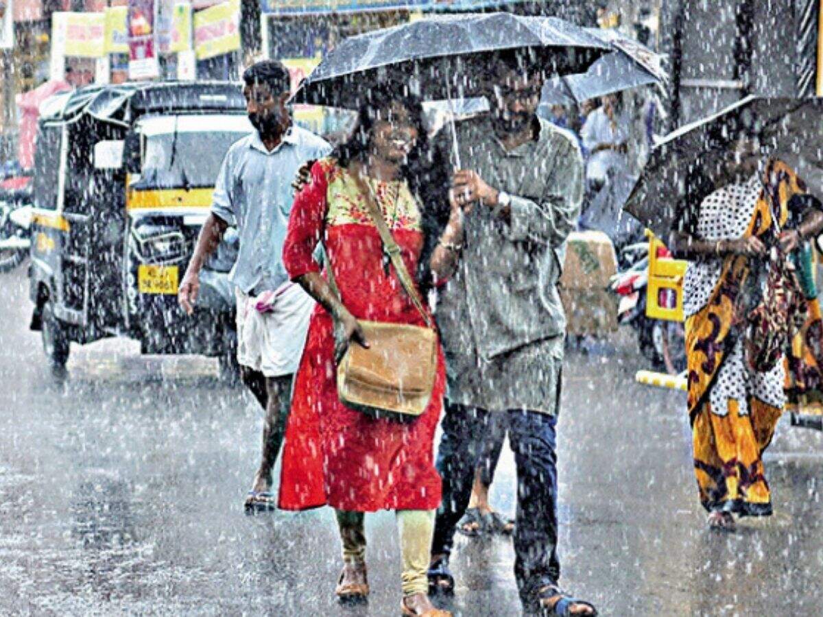 A TOI photo that sparked anger now rains happiness | Thiruvananthapuram  News - Times of India