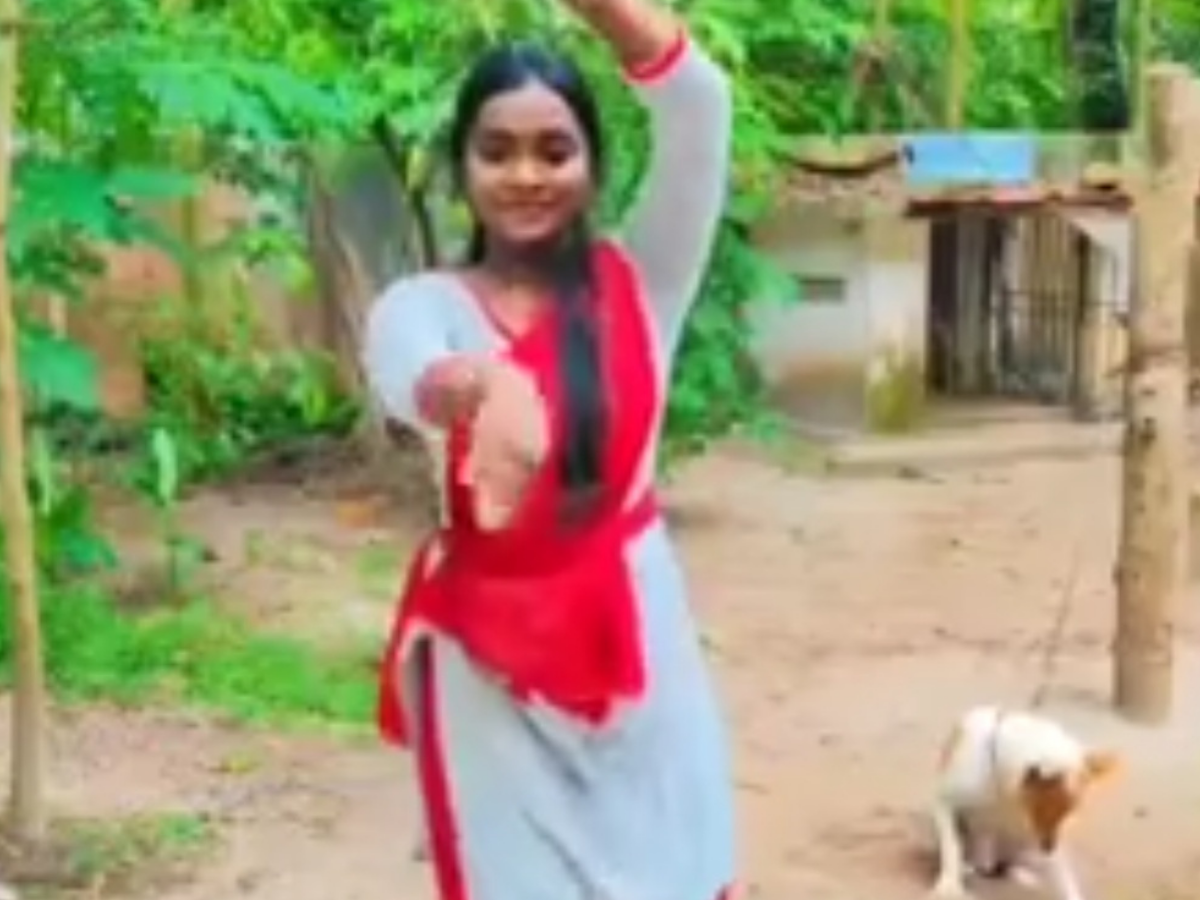 Viral video shows a dog cheering girl's dance moves - Times of India