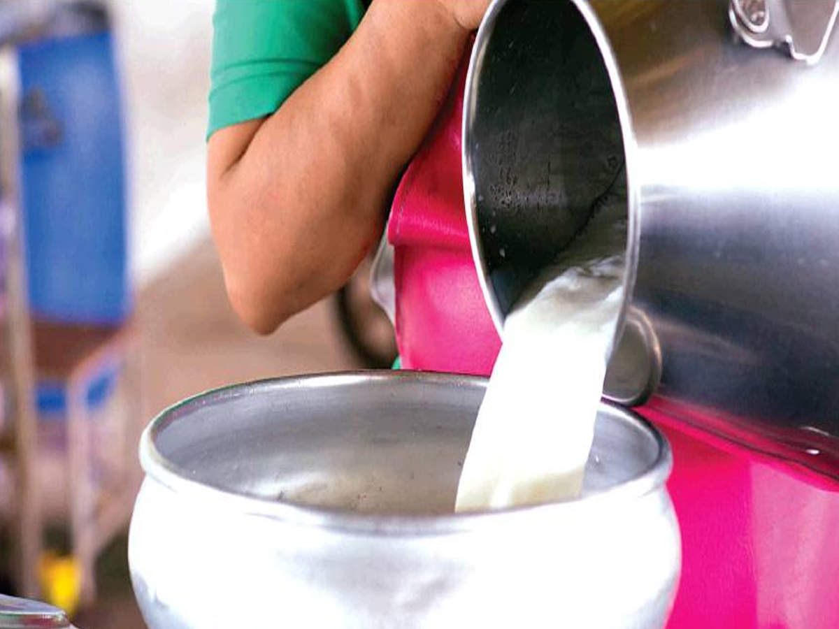 A government spokesperson said that UP is the largest milk producing state in the country and accounts for more than 17% of the milk production in India. (Representative image)