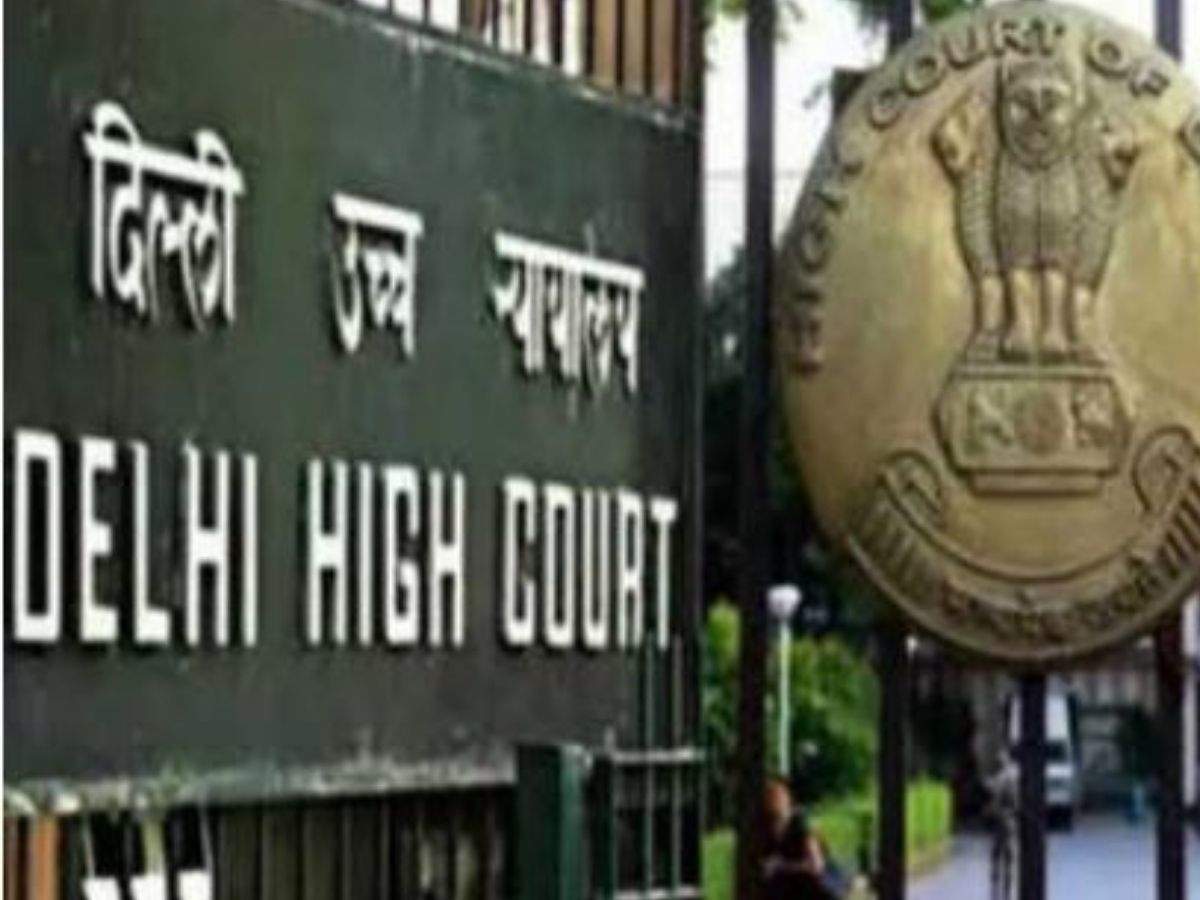 in the high court of delhi at new delhi