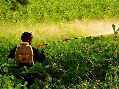 <p>The initial public offer of <span class="textHLMark">India</span> <span class="textHLMark">Pesticides</span> Limited was subscribed 29 times last month. <br>(File Photo)</p>