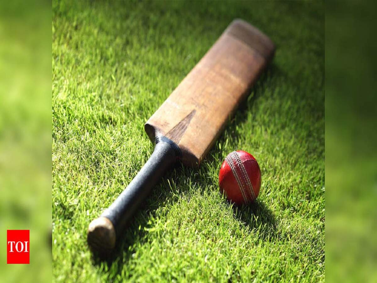 Best Cricket Bats For Professional And Casual Players: Top 10 Cricket Bats  2022 | Most Searched Products - Times of India