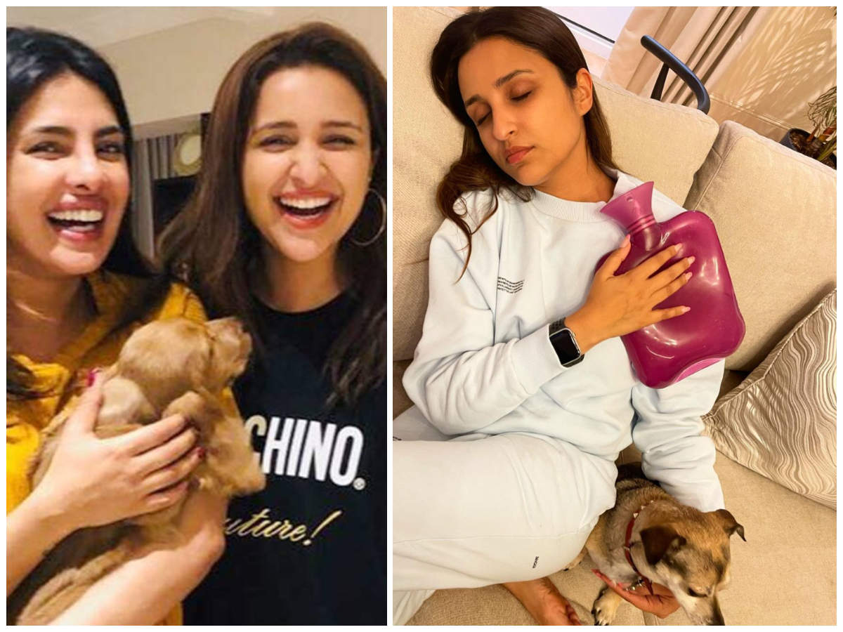 Priyanka Chopra Clicks A Candid Picture Of Parineeti Dozing Off After Being Vaccinated Hindi Movie News Times Of India