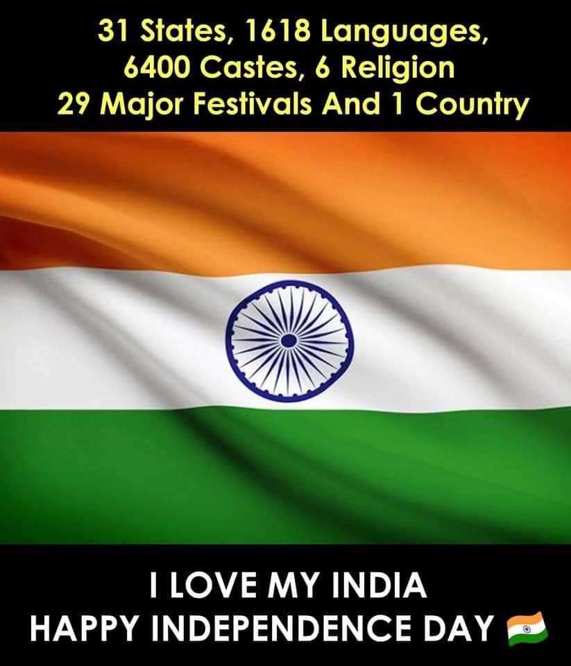 Independence Day Memes, Wishes, Messages & Images: 15 patriotic memes that  will evoke the spirit of patriotism | - Times of India