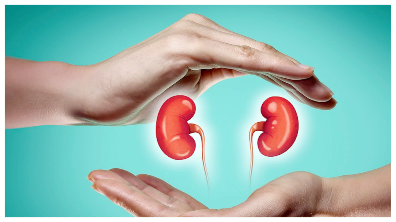 Weight fluctuations may increase health risks in adults with kidney disease | News - Times of India Videos