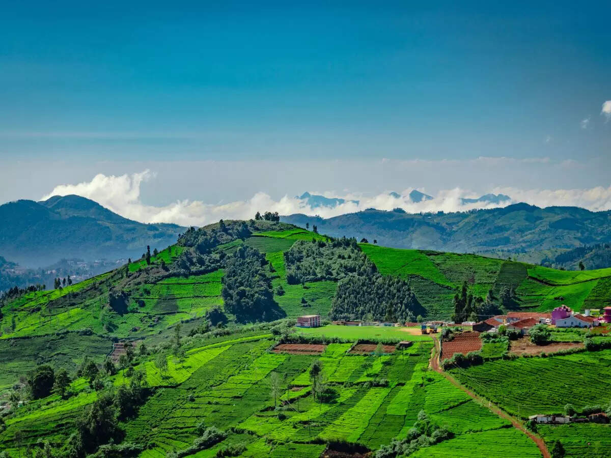 Scenic hill stations of South India that are as good as the Himalayas |  Times of India Travel