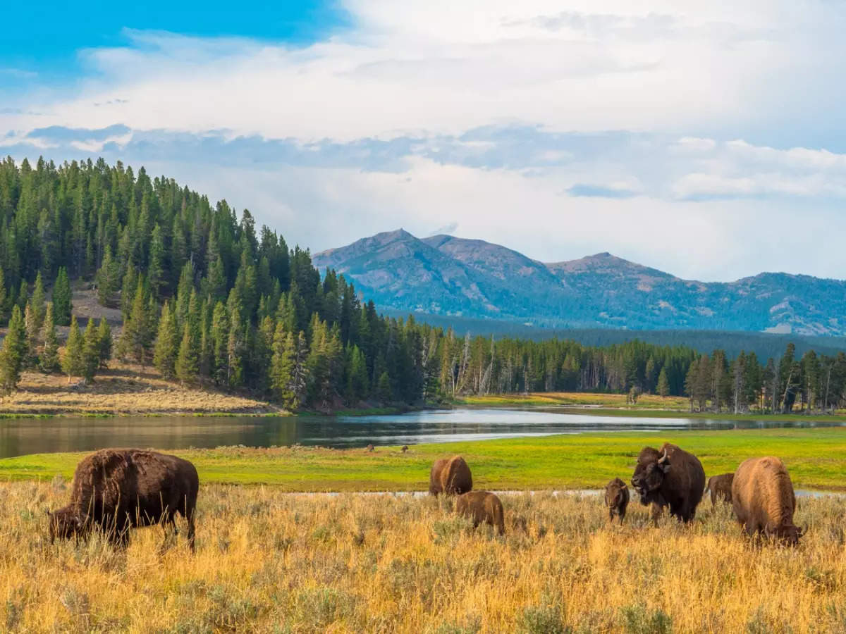 US National Parks have free entry on August 25