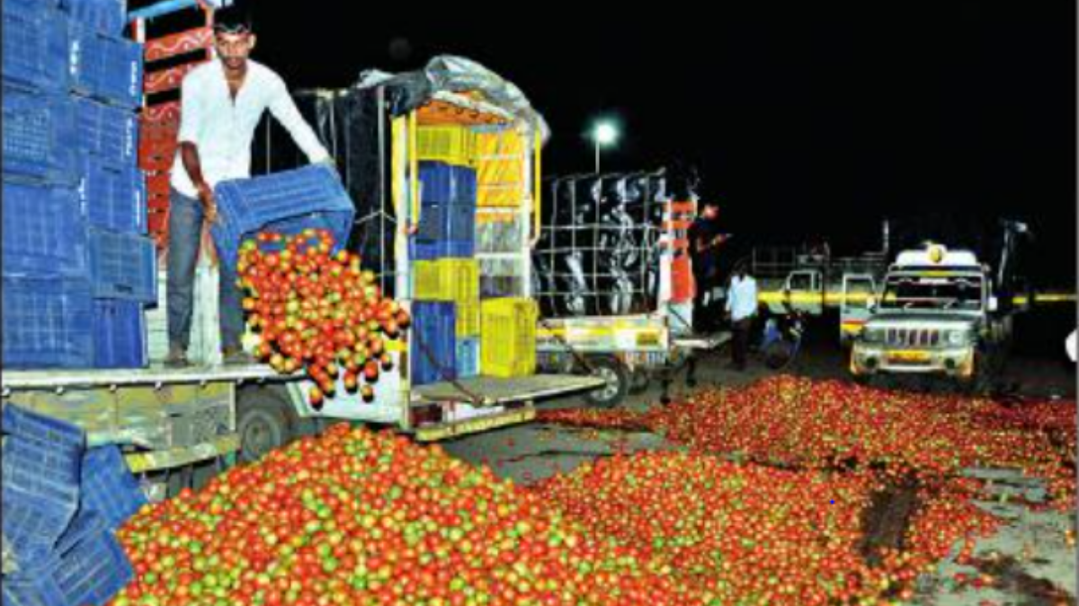 Tomato prices crash, Nashik farmers dump produce on road | Nashik News -  Times of India