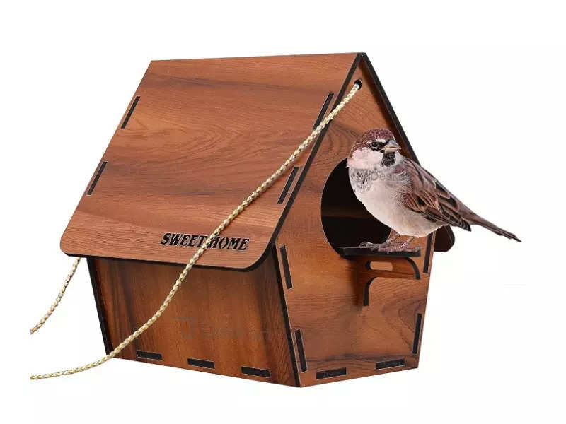 Wooden bird feeders for pet & free birds: Durable & eco-friendly options - Times of India