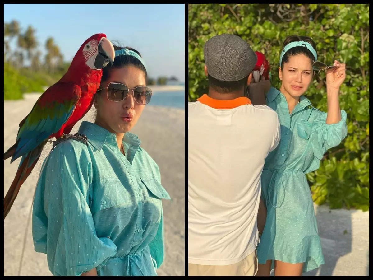 Naughty Macaw tries to snatch Sunny Leones sunglasses in Maldives and her reaction is unmissable Hindi Movie News pic