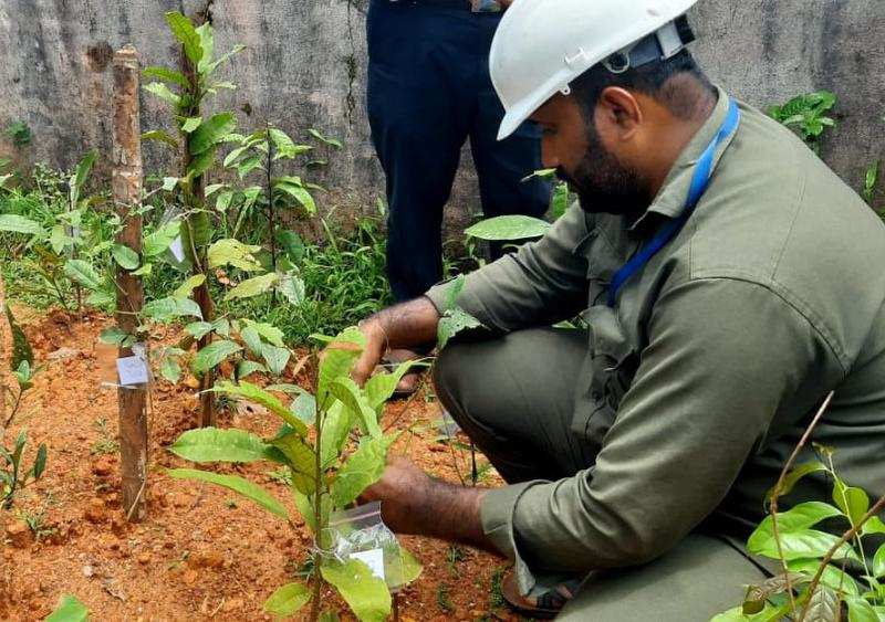 Durga Singh, a Mescom employee, has initiated the development of Miyawaki forests in schools in rural areas