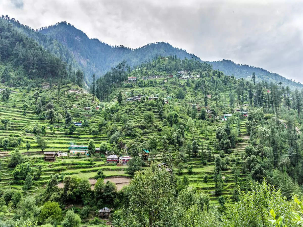 Visit Tirthan valley for an ideal Himachali escape | Times of India Travel