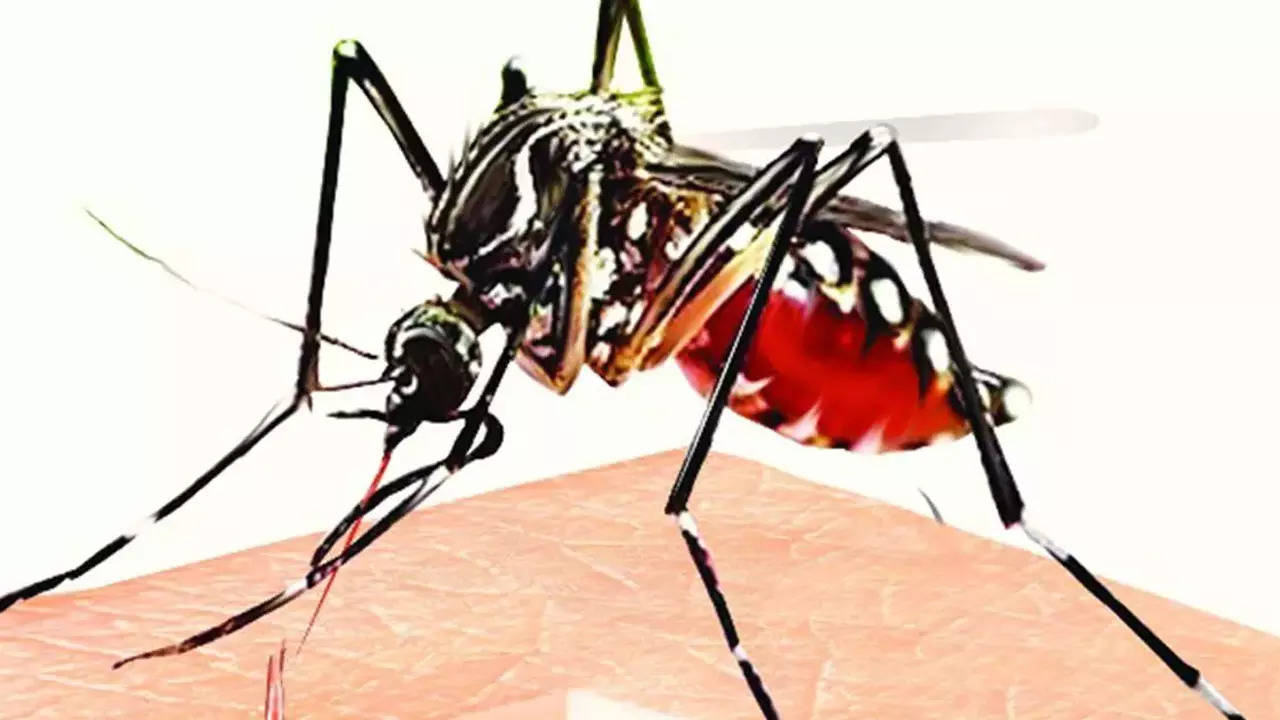 Hospitals across the city are already seeing patients being admitted with dengue and malaria. (Representative image)