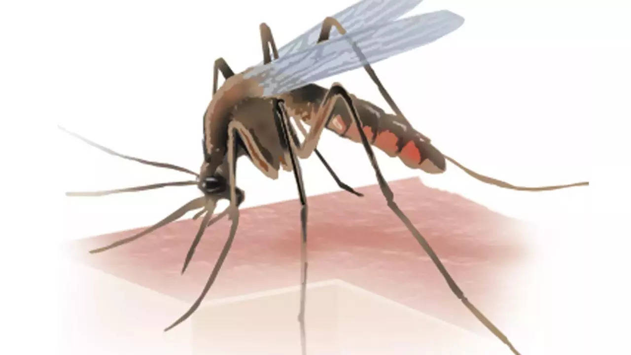 The first death due to Dengue in Delhi was recorded on October 18