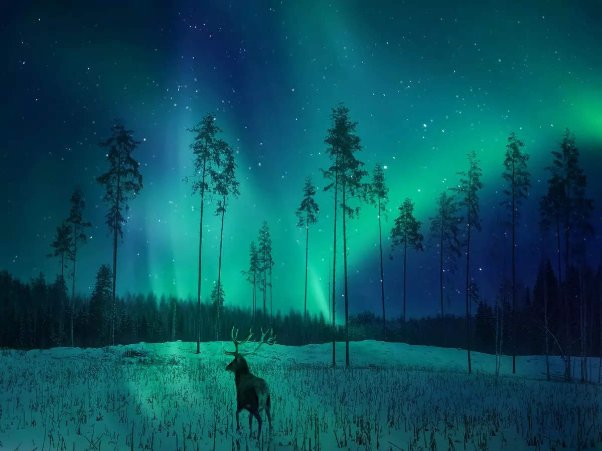 Northern Lights in pictures: 5 magical places to spot them | Times of ...