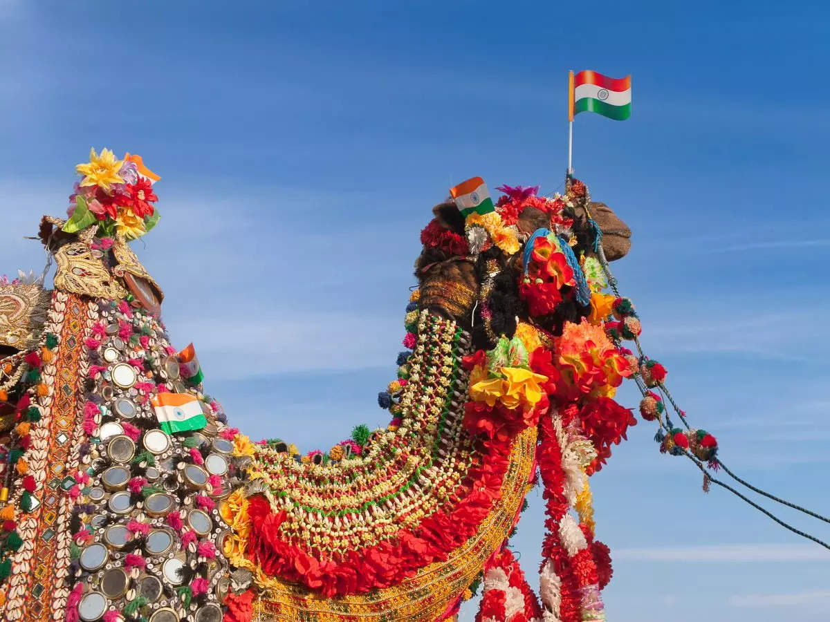 Rajasthan to host Ranakpur Jawai Bandh Utsav from December 22