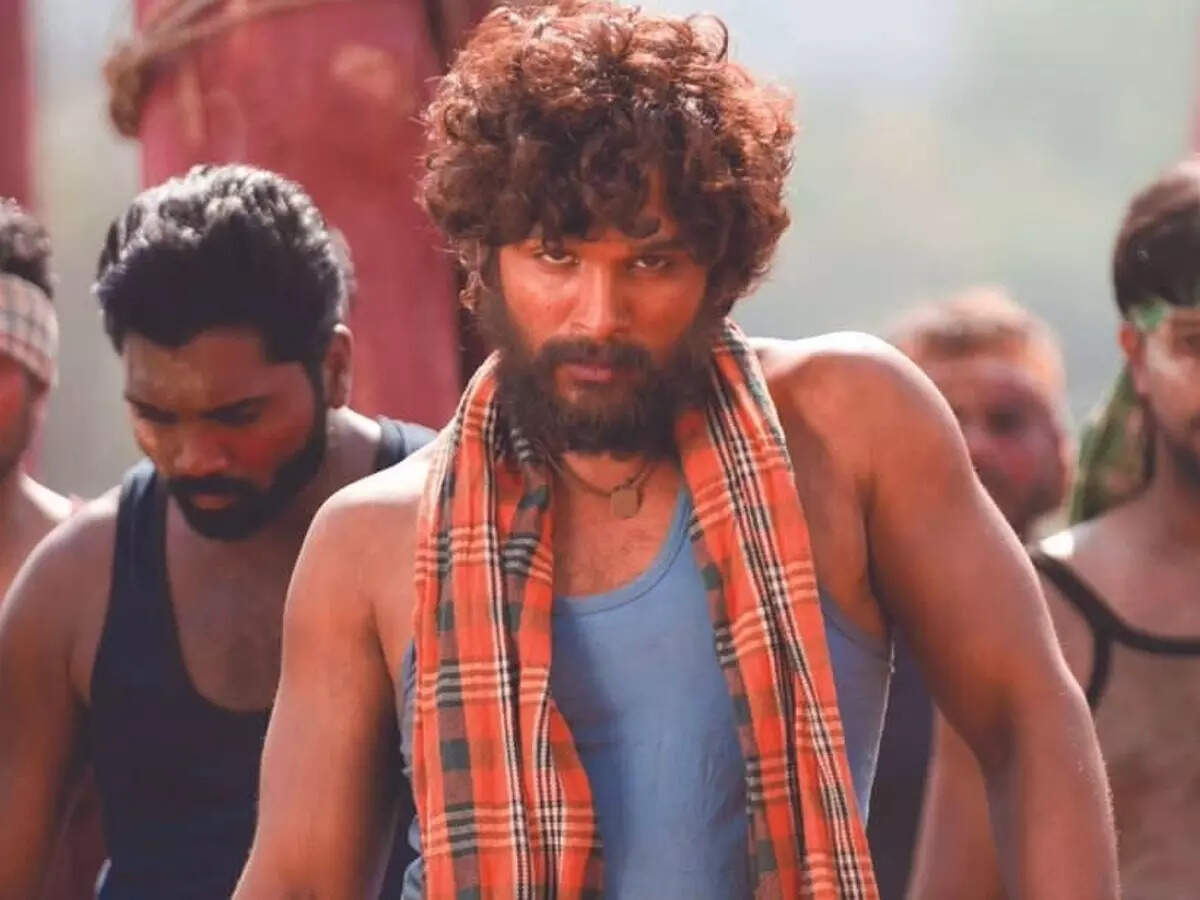 Allu Arjun's 'Pushpa' special shows canceled in Chennai | Tamil Movie News  - Times of India