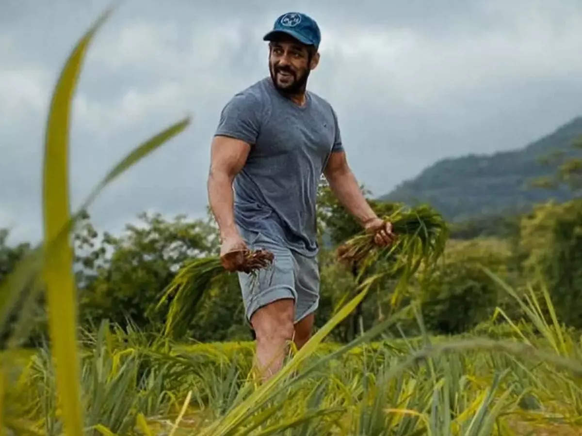 Salman Khan bitten by a non-venomous snake at his Panvel farmhouse, discharged from hospital after an anti-venom dose | Hindi Movie News - Times of India