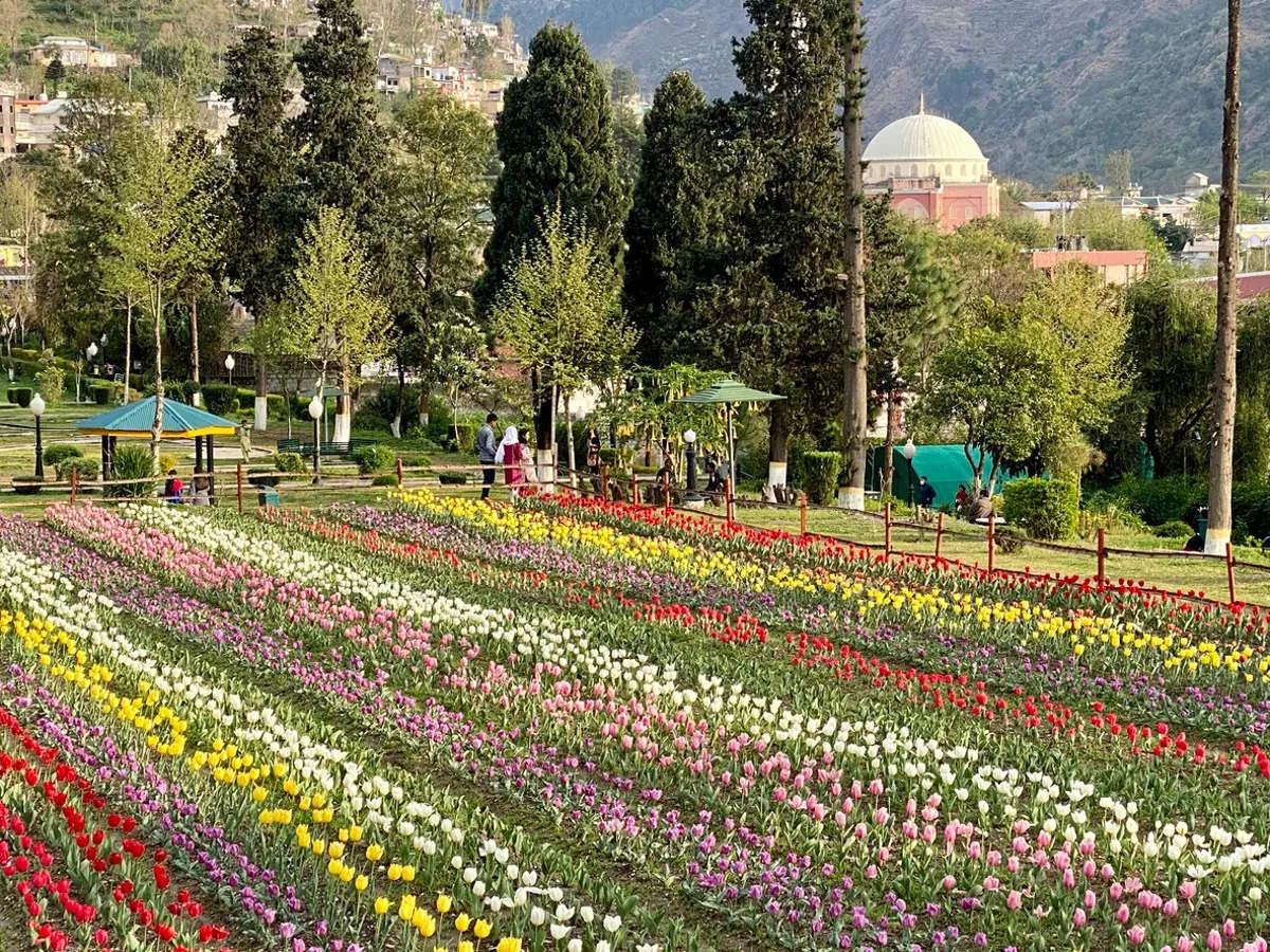 Kashmir witnesses highest tourist footfall in seven years!