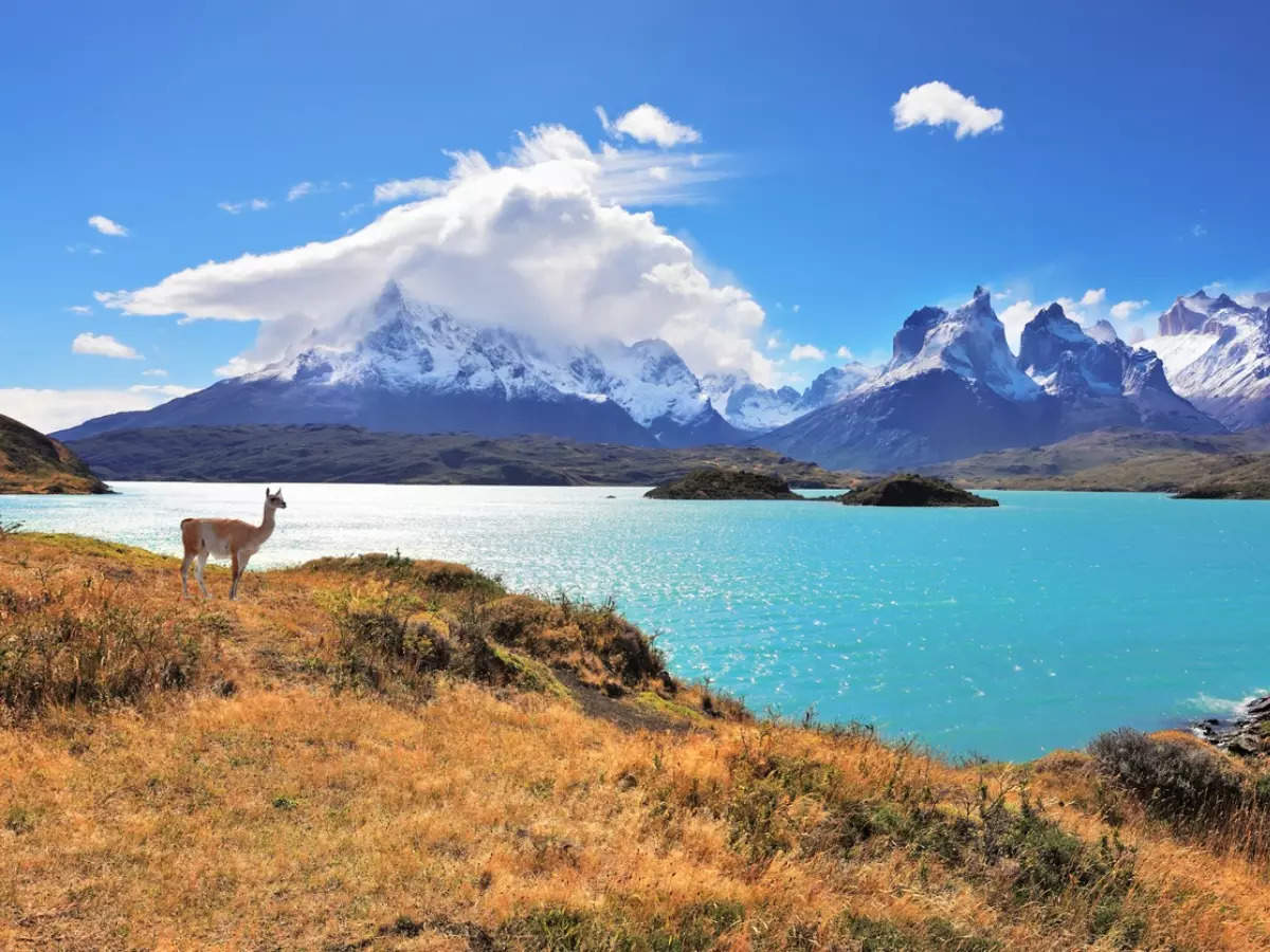 Chile to write a new constitution with climate change as a central theme