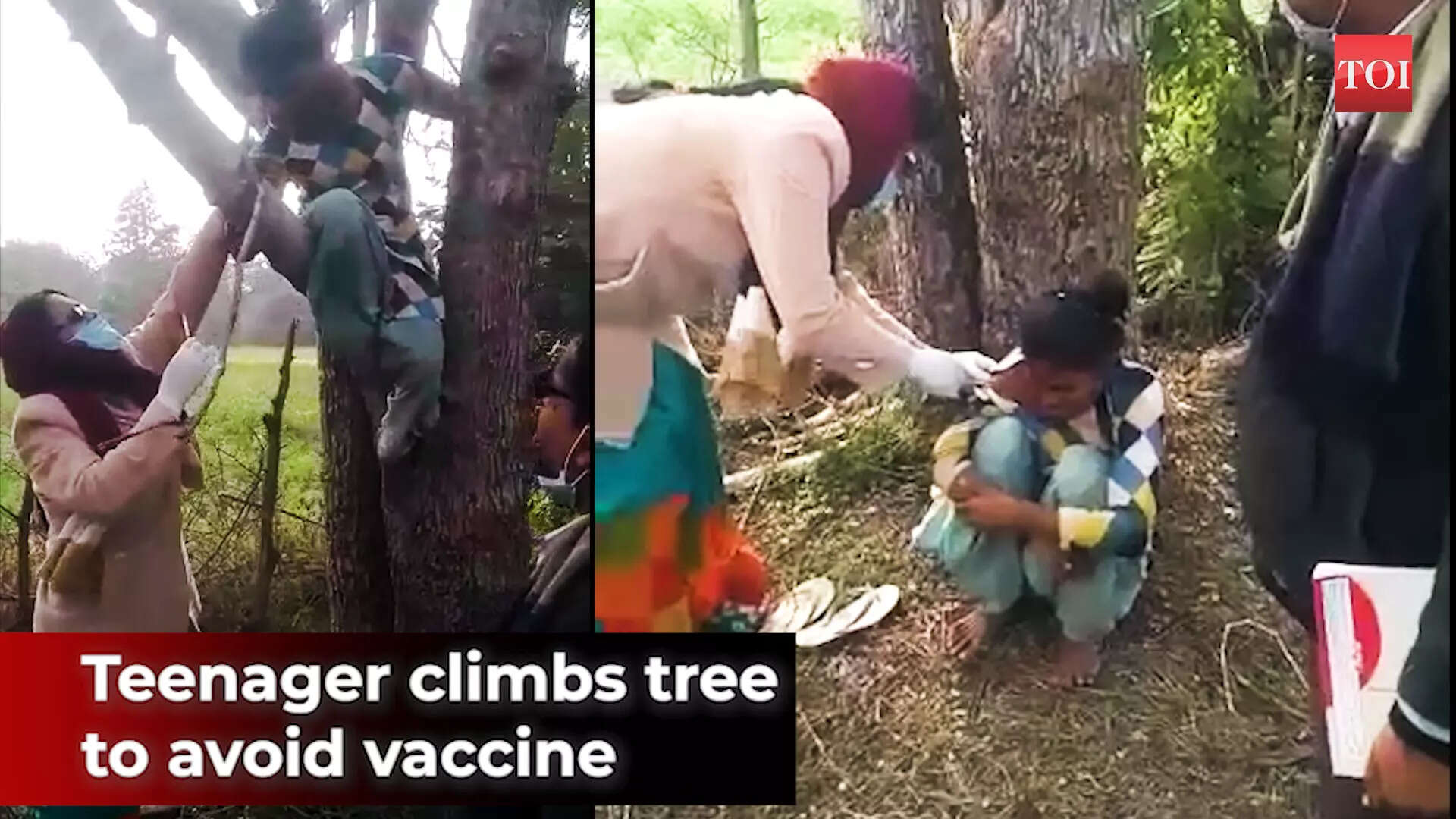 Madhya Pradesh: Teenage girl climbs tree to avoid getting vaccinated in Chhatarpur village | City - Times of India Videos