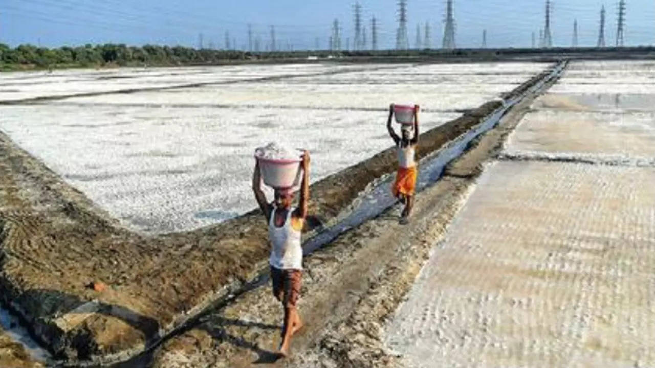 Salt pan lands, says MMRDA, are spread over 2,177 hectares