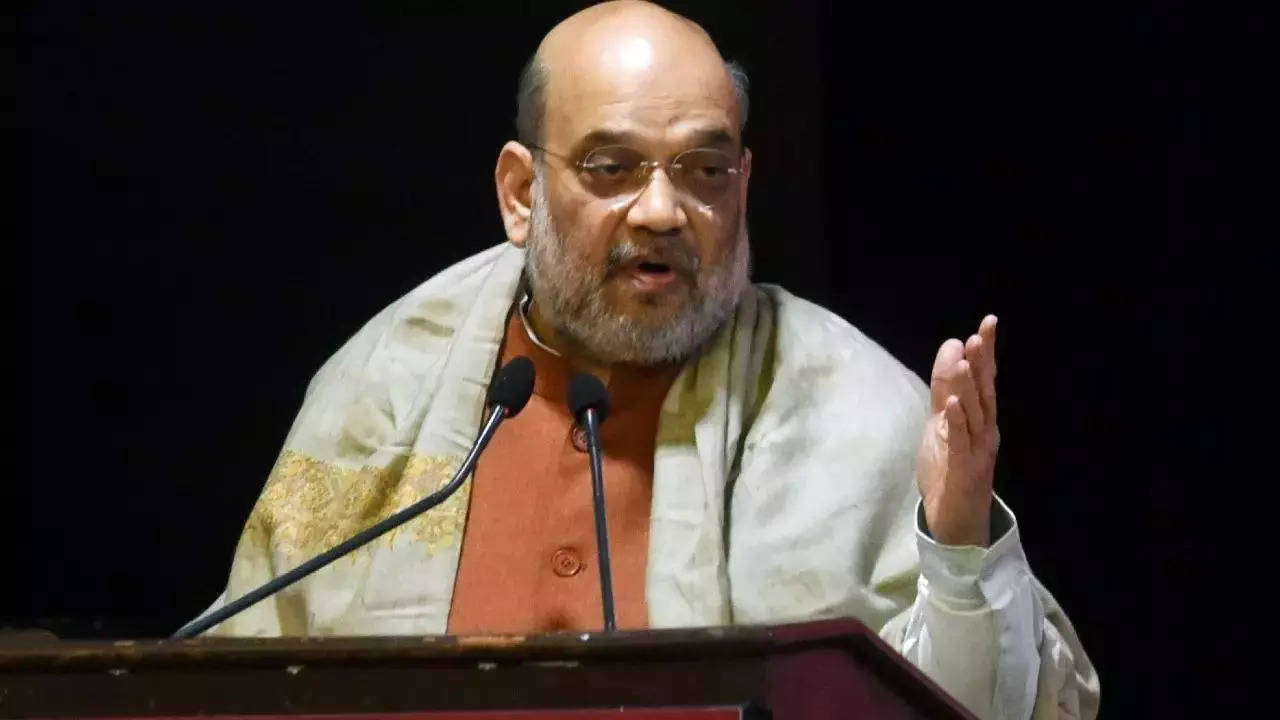 Amit Shah urges citizens to pledge commitment to democratic values of  freedom on 73rd Republic Day | India News - Times of India