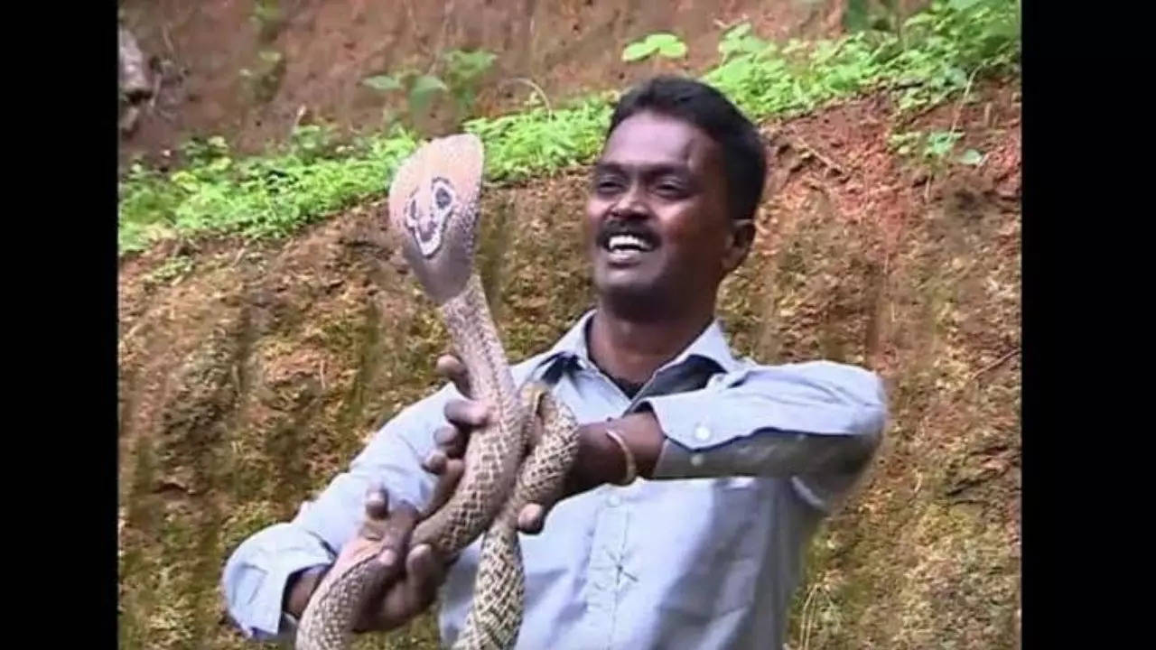 Kerala: Snake catcher Vava Suresh injured after cobra bite | Kochi News -  Times of India