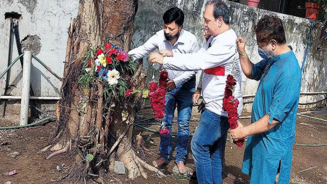 Hemang Raval and a few writers including Sanjay Bhave, Hardwar Goswami, Dharini Shukla, Bhavesh Bhatt, vice-president of the parishad Praful Raval and treasurer Rajendra Upadhyay held a symbolic condolence meeting. They garlanded the stumps of what were full-grown trees that stood tall till a few days ago