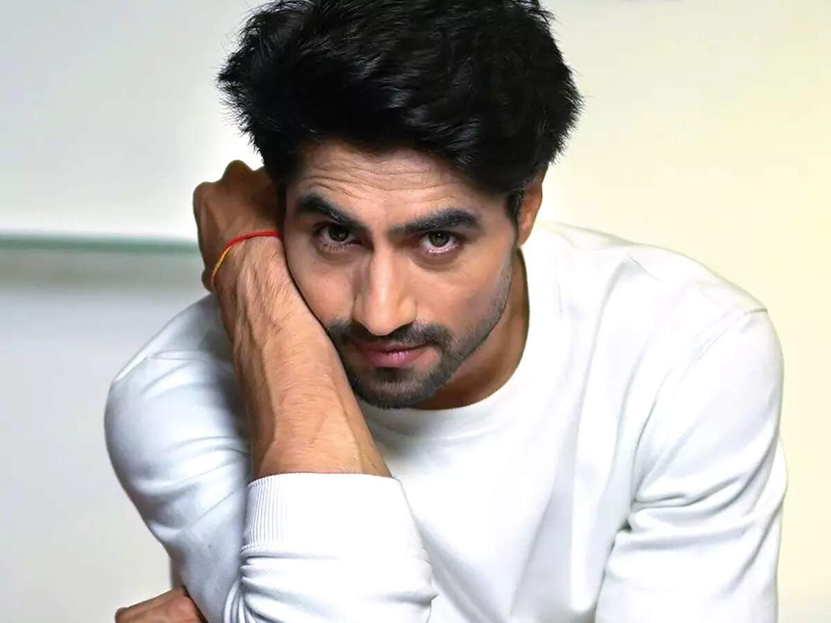 Exclusive! If I had gotten the time to concentrate on other stuff, I'd not have been single: Harshad Chopda