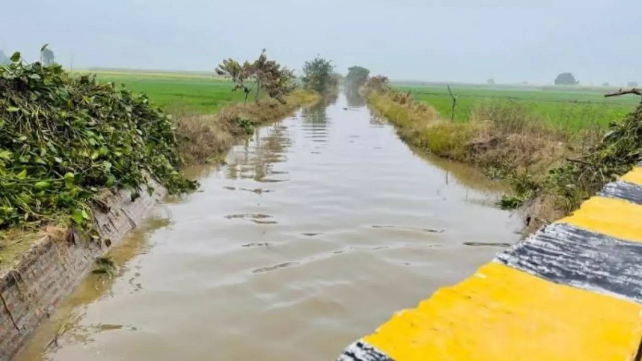 Water in Saraswati river channel at Mangoli Jattan village in Babain area of Kurukshetra district.