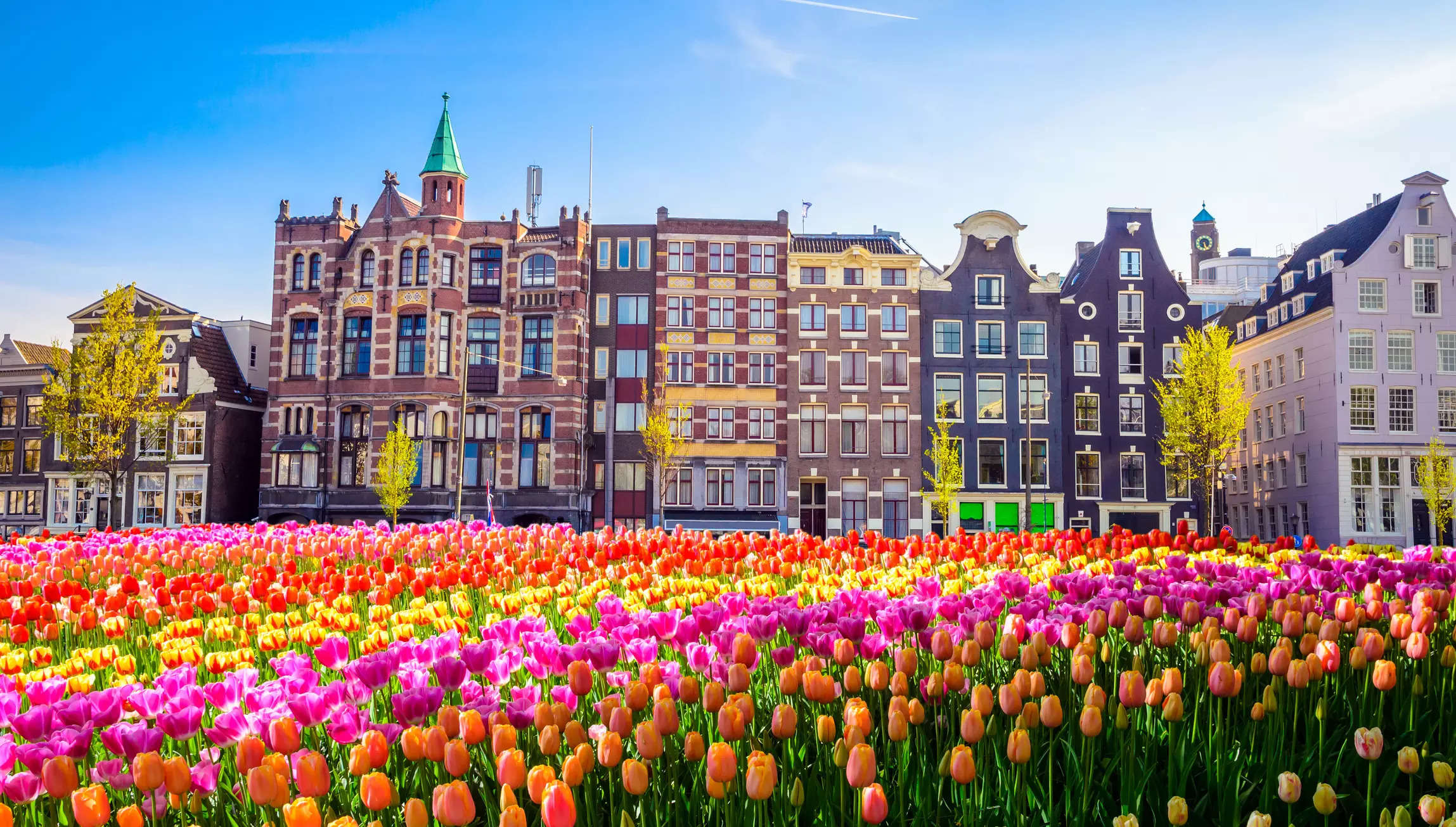 You can win a free trip to the Netherlands if you act fast! Check how