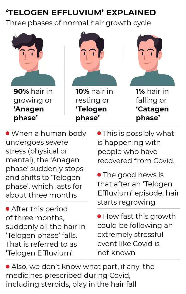 How hair loss is wrecking lives of Covid patients | India News - Times of India How hair loss is wrecking lives of Covid patients | India News - Times of India