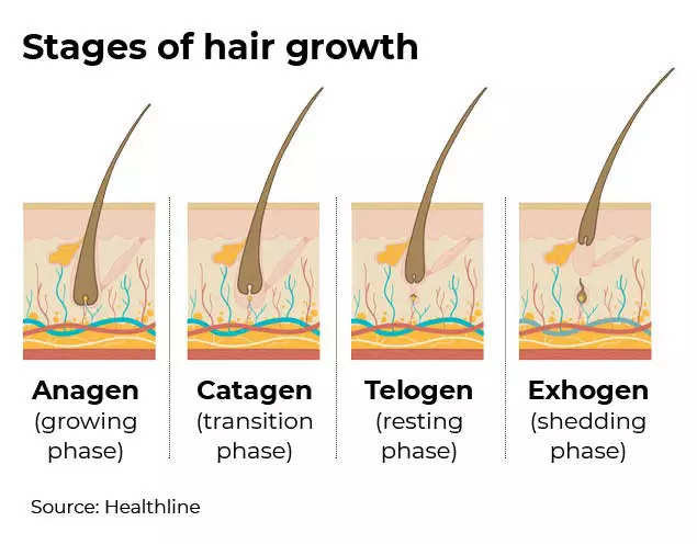 How hair loss is wrecking lives of Covid patients | India News - Times of  India