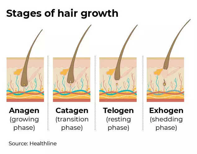How hair loss is wrecking lives of Covid patients | India News - Times of India How hair loss is wrecking lives of Covid patients | India News - Times of India