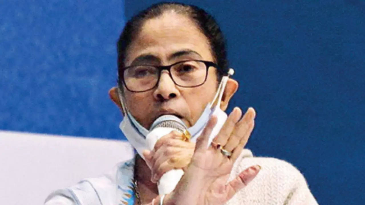 West Bengal chief minister Mamata Banerjee. (File image)