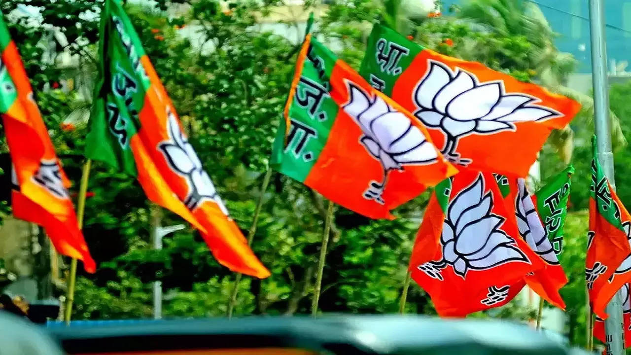 As per the party insiders, the BJP leadership has started reaching out to a few independent candidates who look strong. (File Photo)