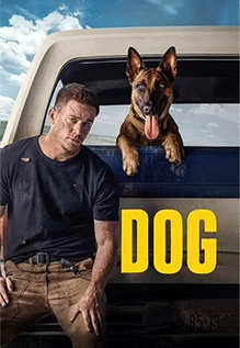 Dog Movie Review: A heartfelt road trip tale on healing