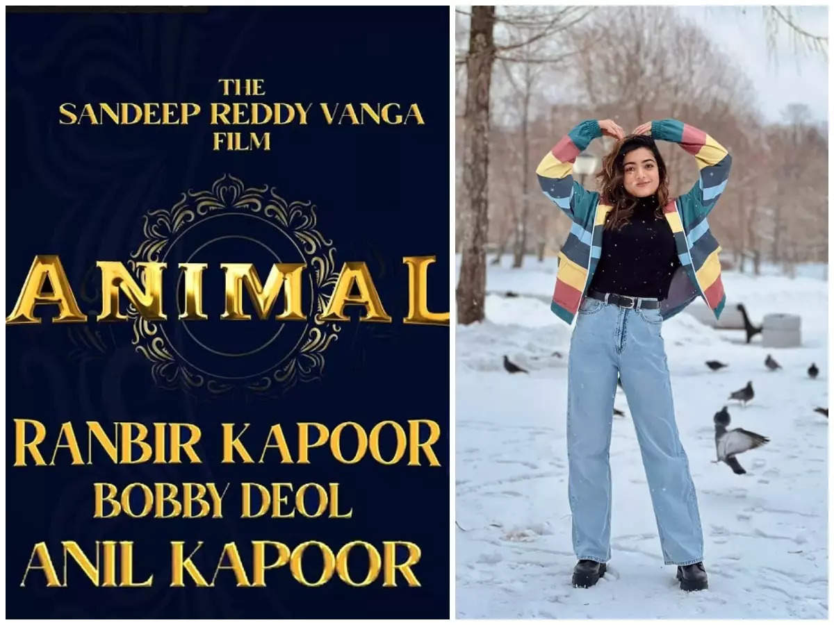 Is Rashmika in talks for special song in Sandeep Reddy Vanga's 'Animal'? |  Telugu Movie News - Times of India