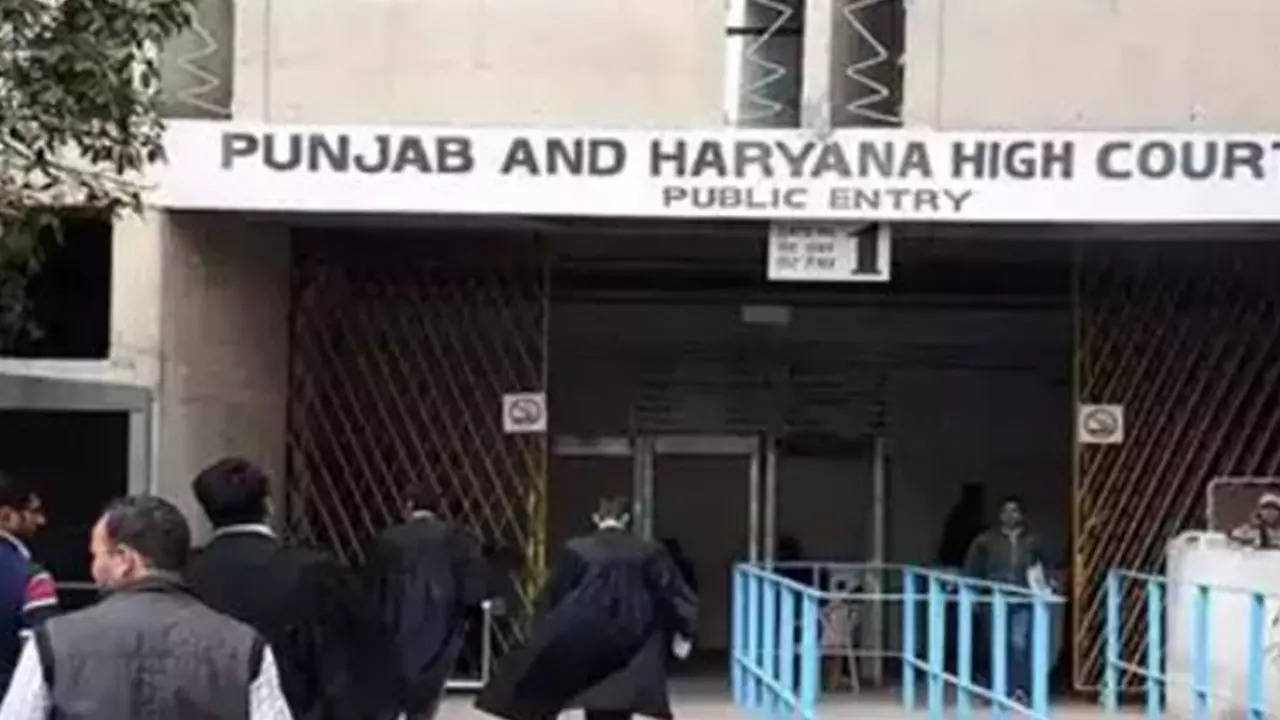 senior advocates in punjab and haryana high court