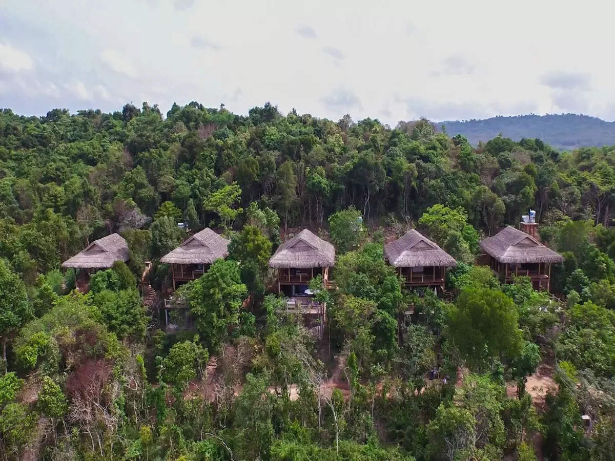 World’s most beautiful jungle hotels for a thrilling experience!