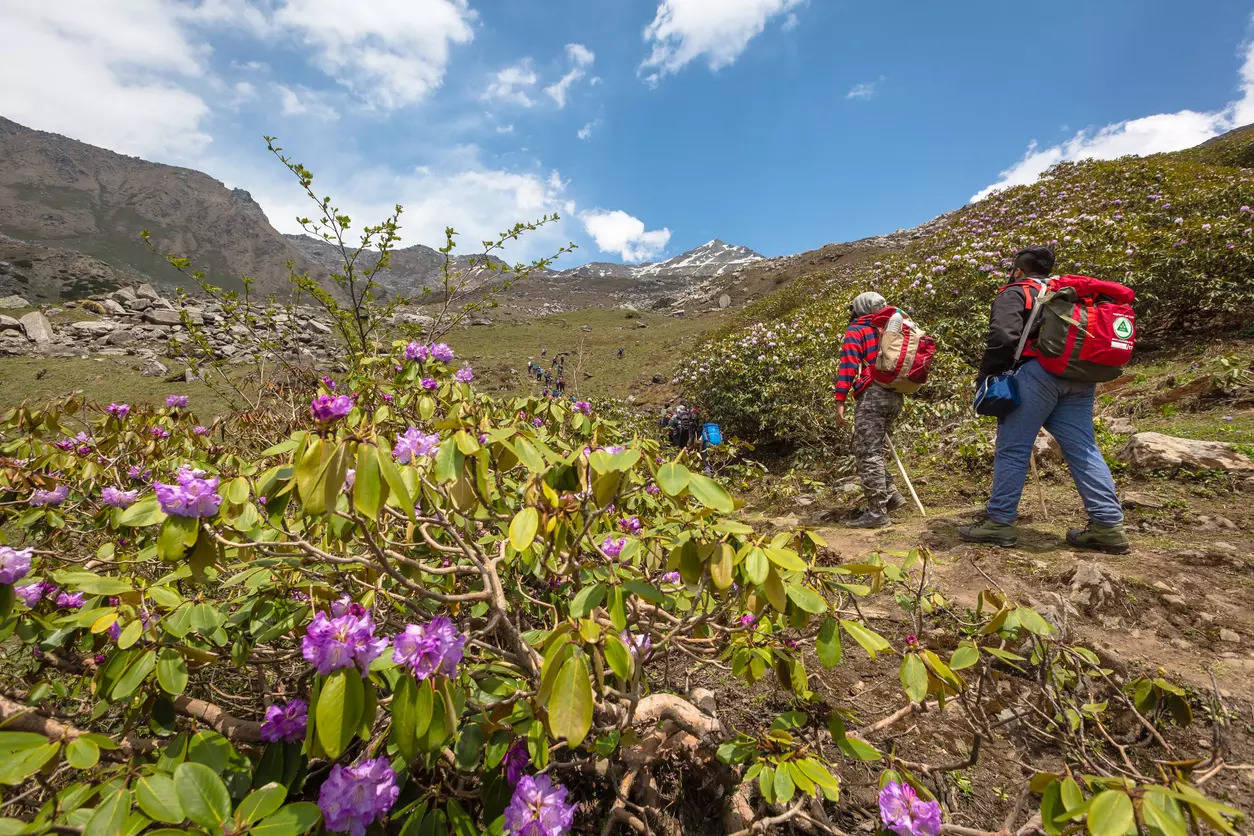 Valley of Flowers trek in Uttarakhand to begin from June 1, 2022