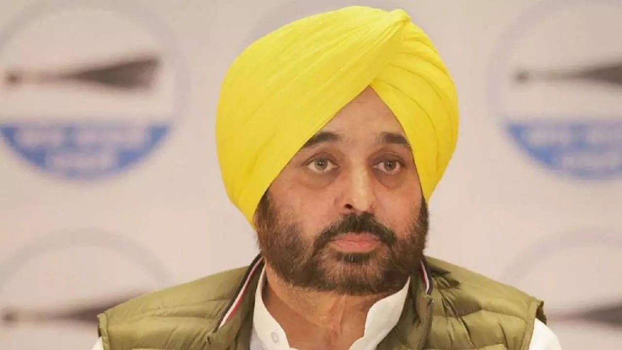 Punjab CM Bhagwant Mann likely to announce 300 units of free electricity, a  Key 'guarantee', today | Chandigarh News - Times of India